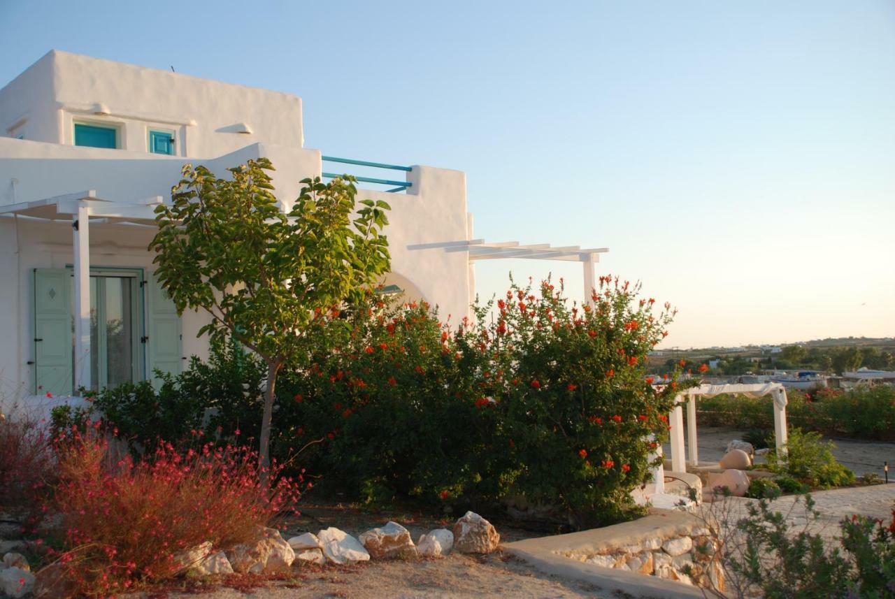 Villa Kampos Naousa-Marpisa Ambelas Ngoại thất bức ảnh