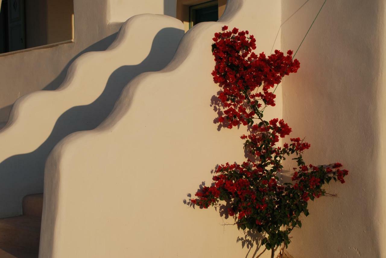 Villa Kampos Naousa-Marpisa Ambelas Ngoại thất bức ảnh